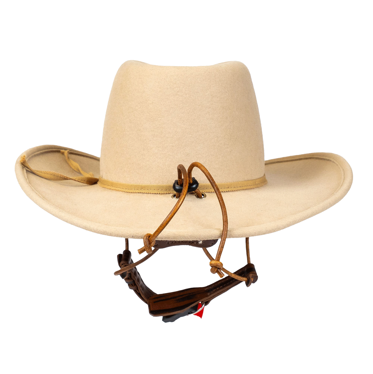 Stallion Riding Model