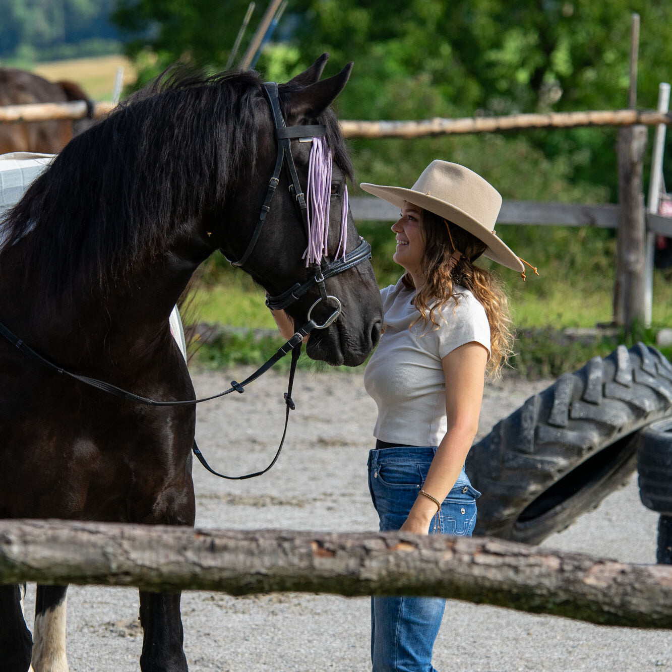 Stallion Riding Model