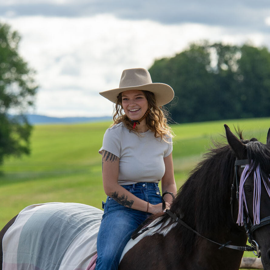 Stallion Riding Model